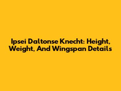Ipsei Daltonse Knecht: Height, Weight, And Wingspan Details