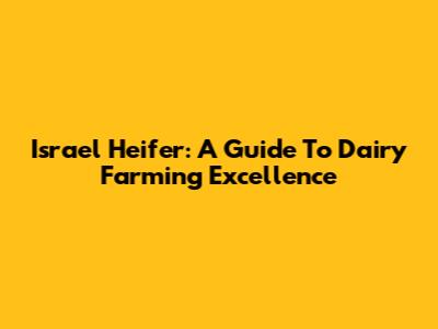Israel Heifer: A Guide To Dairy Farming Excellence