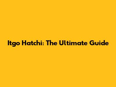 Itgo Hatchi: The Ultimate Guide