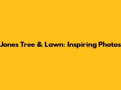 Jones Tree & Lawn: Inspiring Photos