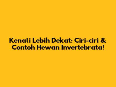 Kenali Lebih Dekat: Ciri-ciri & Contoh Hewan Invertebrata!