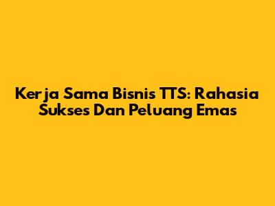 Kerja Sama Bisnis TTS: Rahasia Sukses Dan Peluang Emas