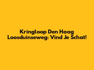 Kringloop Den Haag Loosduinseweg: Vind Je Schat!