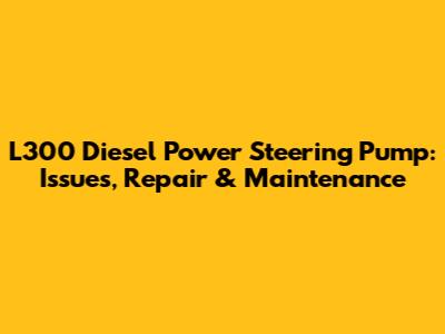 L300 Diesel Power Steering Pump: Issues, Repair & Maintenance