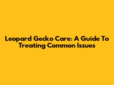 Leopard Gecko Care: A Guide To Treating Common Issues