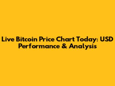Live Bitcoin Price Chart Today: USD Performance & Analysis