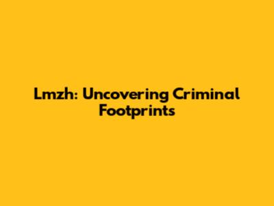 Lmzh: Uncovering Criminal Footprints