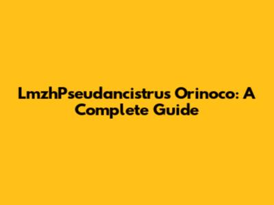 LmzhPseudancistrus Orinoco: A Complete Guide