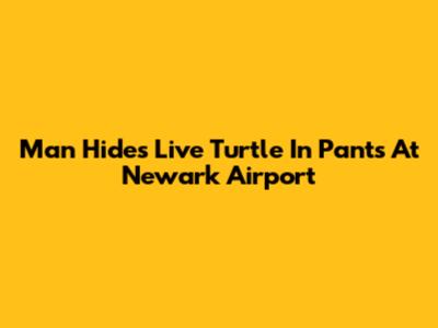 Man Hides Live Turtle In Pants At Newark Airport