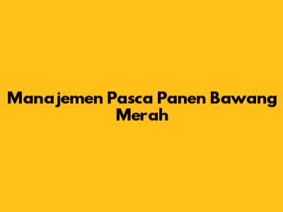 Manajemen Pasca Panen Bawang Merah