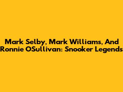 Mark Selby, Mark Williams, And Ronnie O'Sullivan: Snooker Legends