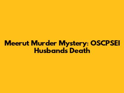 Meerut Murder Mystery: OSCPSEI Husband's Death