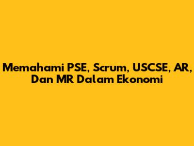 Memahami PSE, Scrum, USCSE, AR, Dan MR Dalam Ekonomi