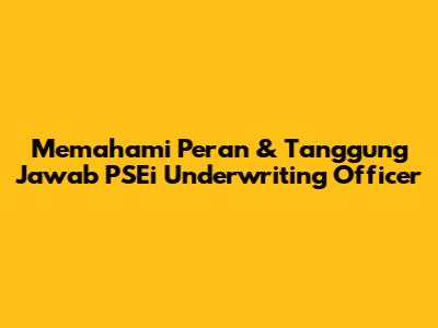 Memahami Peran & Tanggung Jawab PSEi Underwriting Officer