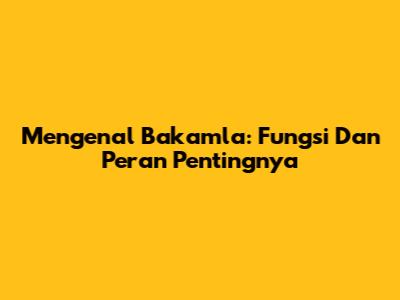 Mengenal Bakamla: Fungsi Dan Peran Pentingnya