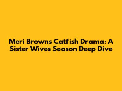 Meri Brown's Catfish Drama: A Sister Wives Season Deep Dive