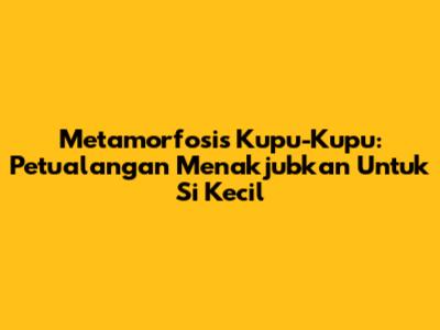 Metamorfosis Kupu-Kupu: Petualangan Menakjubkan Untuk Si Kecil