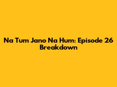 Na Tum Jano Na Hum: Episode 26 Breakdown