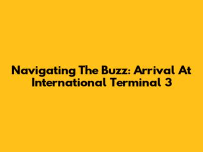 Navigating The Buzz: Arrival At International Terminal 3