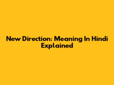 New Direction: Meaning In Hindi Explained