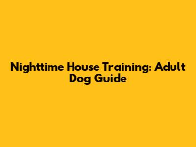 Nighttime House Training: Adult Dog Guide