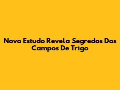 Novo Estudo Revela Segredos Dos Campos De Trigo