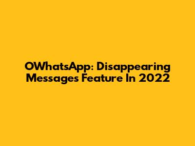 OWhatsApp: Disappearing Messages Feature In 2022