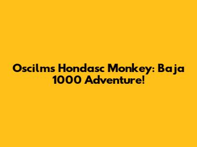 Oscilms Hondasc Monkey: Baja 1000 Adventure!