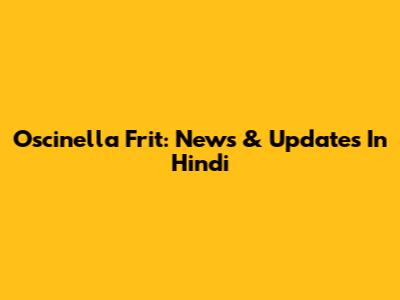 Oscinella Frit: News & Updates In Hindi
