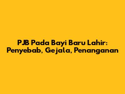 PJB Pada Bayi Baru Lahir: Penyebab, Gejala, Penanganan