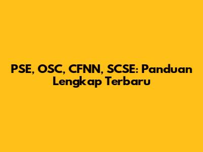 PSE, OSC, CFNN, SCSE: Panduan Lengkap Terbaru
