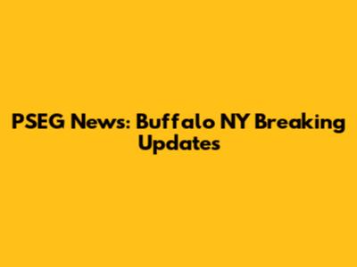 PSEG News: Buffalo NY Breaking Updates