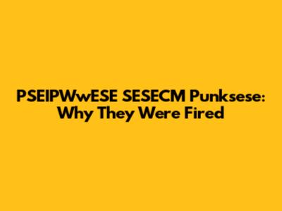 PSEIPWwESE SESECM Punksese: Why They Were Fired