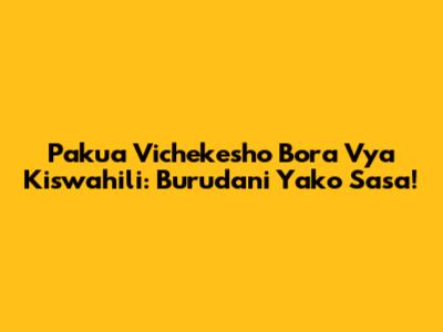 Pakua Vichekesho Bora Vya Kiswahili: Burudani Yako Sasa!