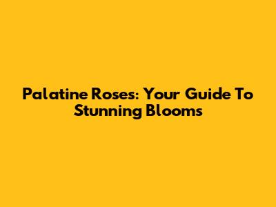 Palatine Roses: Your Guide To Stunning Blooms