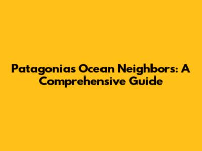Patagonia's Ocean Neighbors: A Comprehensive Guide