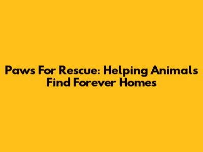 Paws For Rescue: Helping Animals Find Forever Homes