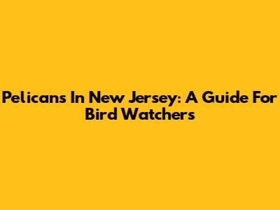 Pelicans In New Jersey: A Guide For Bird Watchers