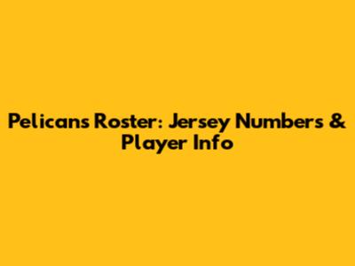 Pelicans Roster: Jersey Numbers & Player Info