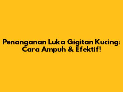 Penanganan Luka Gigitan Kucing: Cara Ampuh & Efektif!