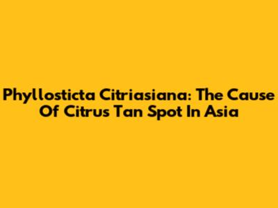 Phyllosticta Citriasiana: The Cause Of Citrus Tan Spot In Asia