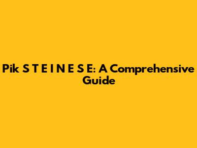 Pik S T E I N E S E: A Comprehensive Guide