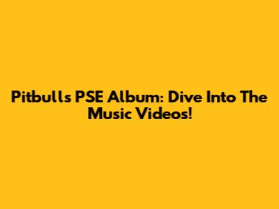 Pitbull's 'PSE' Album: Dive Into The Music Videos!