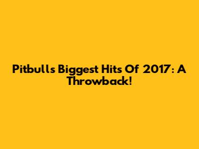 Pitbull's Biggest Hits Of 2017: A Throwback!