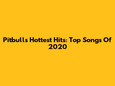 Pitbull's Hottest Hits: Top Songs Of 2020