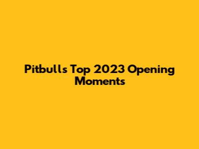 Pitbull's Top 2023 Opening Moments