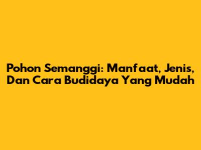 Pohon Semanggi: Manfaat, Jenis, Dan Cara Budidaya Yang Mudah