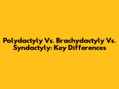 Polydactyly Vs. Brachydactyly Vs. Syndactyly: Key Differences