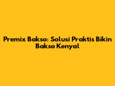 Premix Bakso: Solusi Praktis Bikin Bakso Kenyal