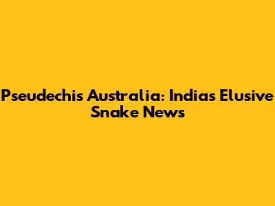 Pseudechis Australia: India's Elusive Snake News